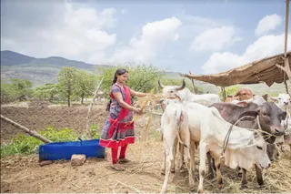 Sharing the Big Picture: Getting to Where We Are Today with Gender-Smart Technical Assistance for Enterprises
